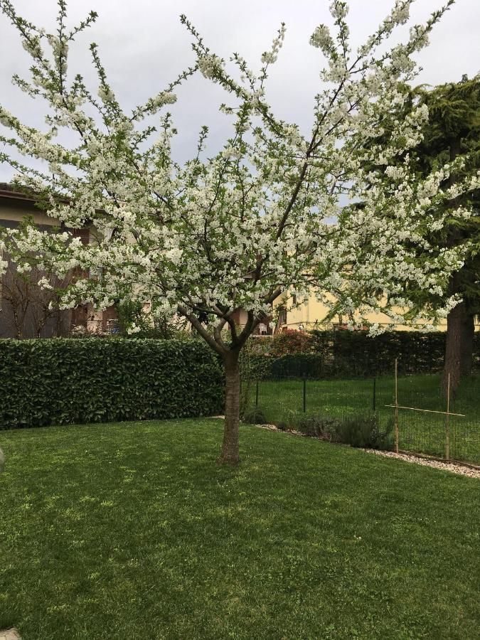 Appartamenti Francesco Peschiera del Garda Exterior foto